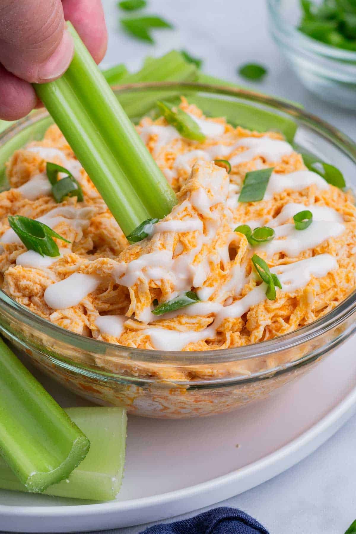 A piece of celery is dipped into a bowl of buffalo chicken dip.
