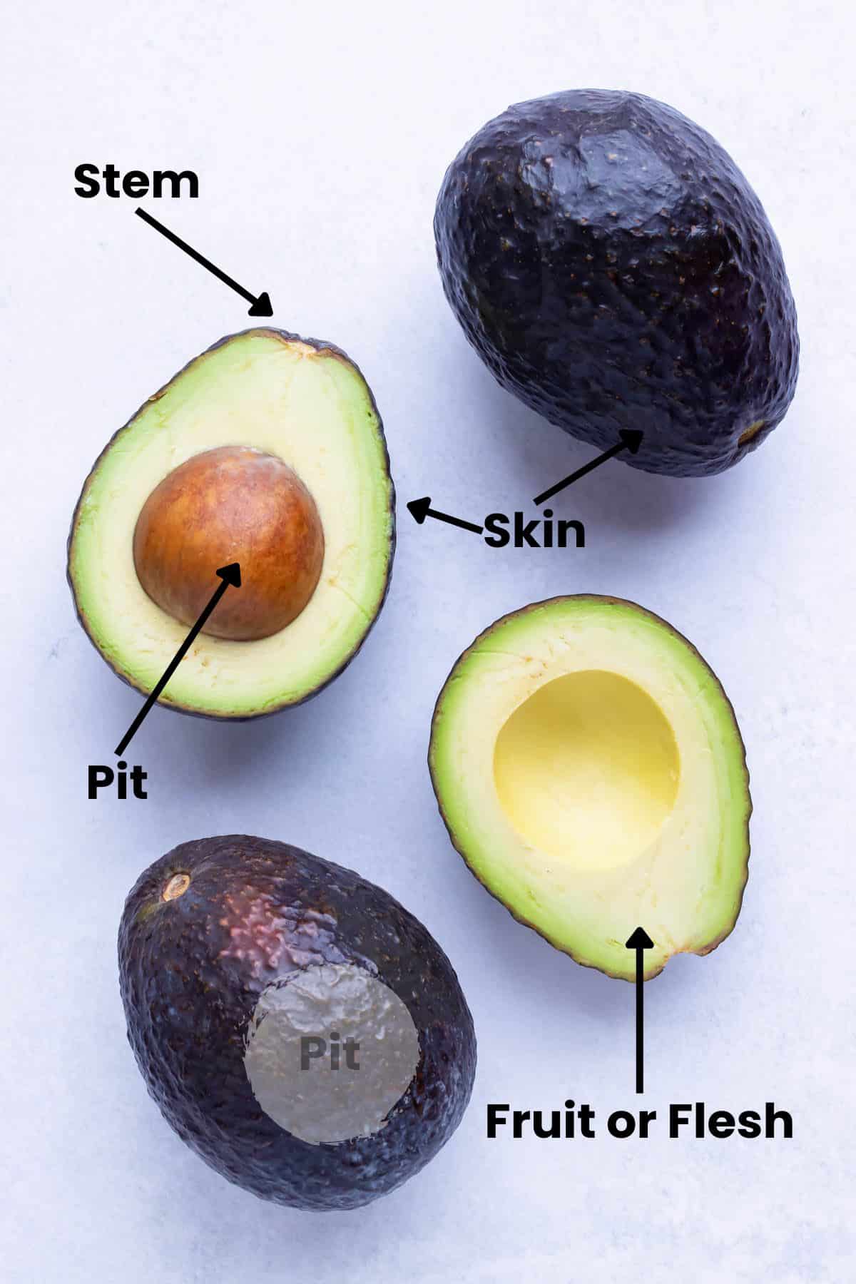A drawing with arrows showing the pit, peel or skin, flesh or fruit, and stem of avocados.