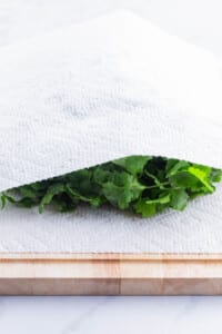 Rinsed cilantro is dried off with a paper towel.