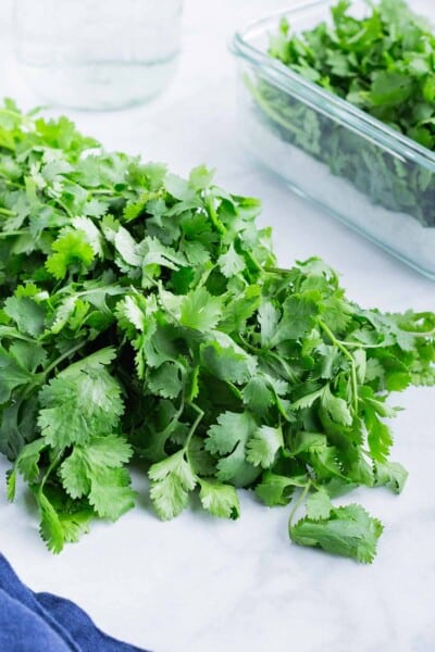 How to Chop Cilantro - Evolving Table