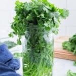 A bunch of cilantro is placed in a jar with water.
