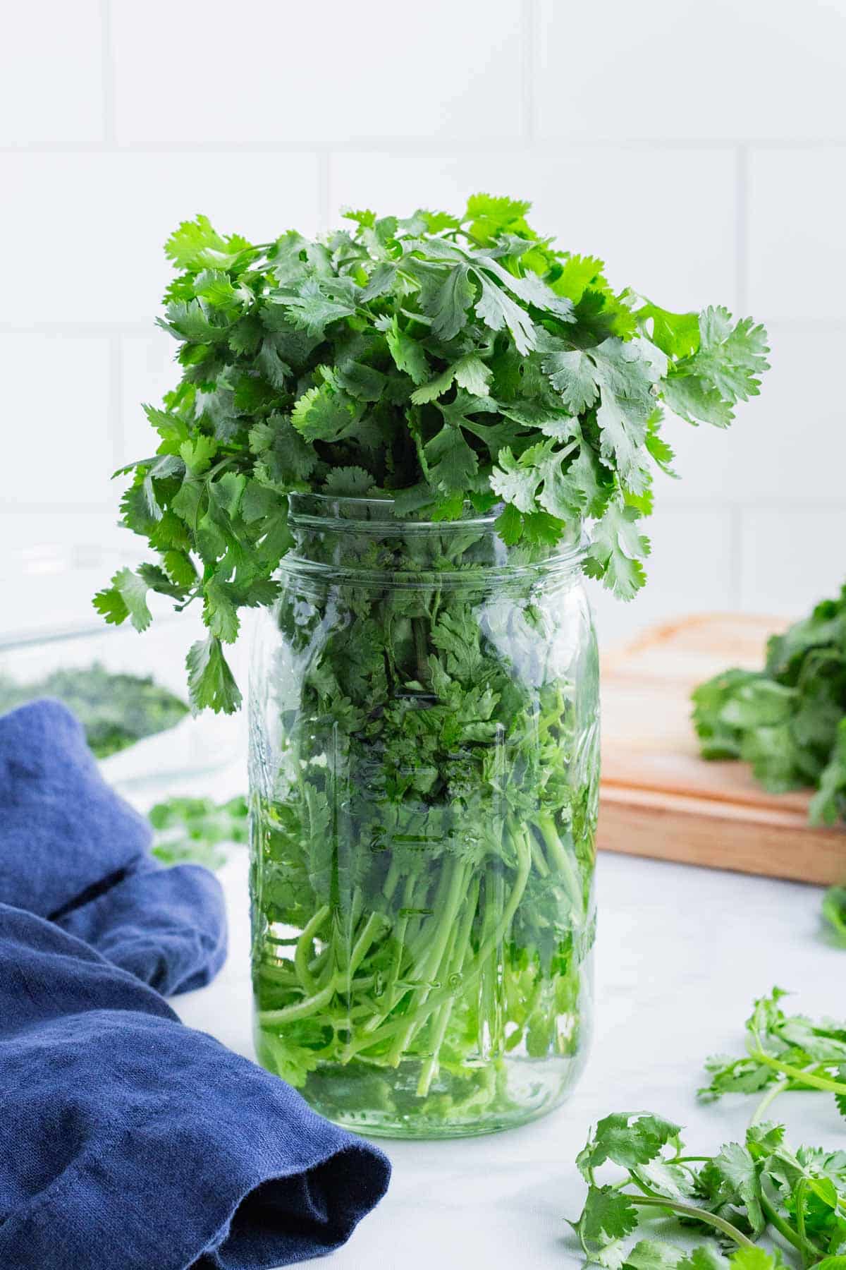 A bunch of cilantro is placed in a jar with water.