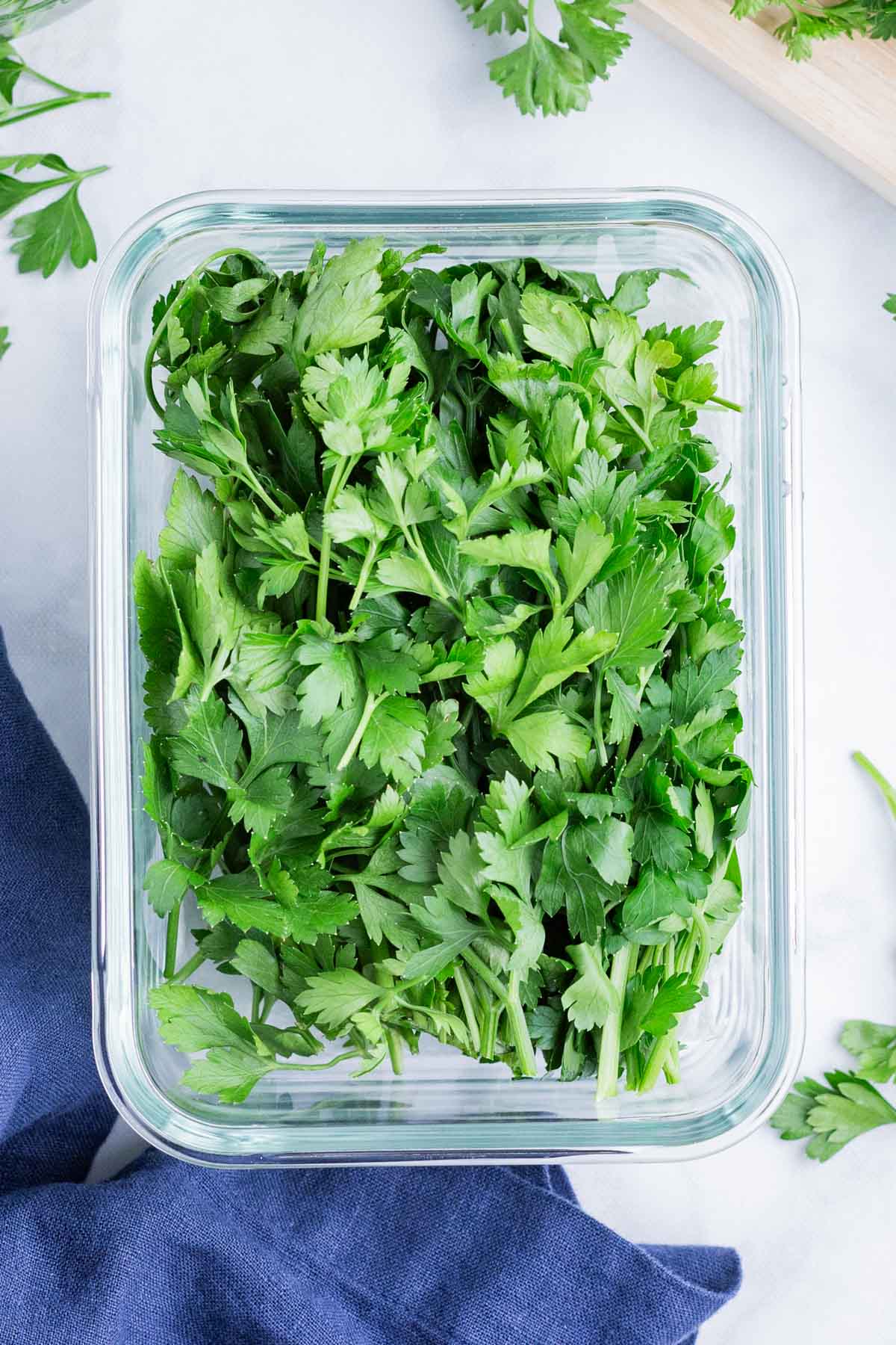 A fresh parsley bunch is stored in an airtight container.