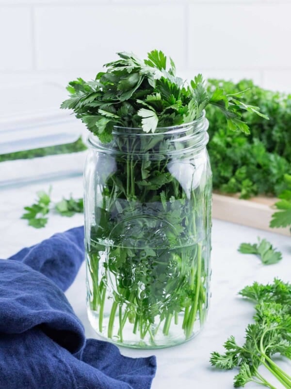 A whole bunch of parsley is stored in a glass mason jar.