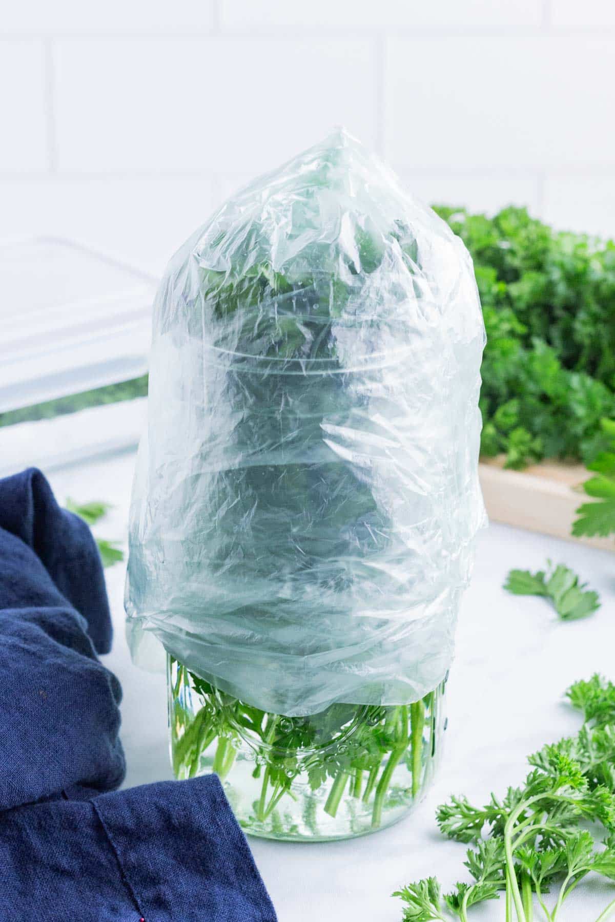 A glass mason jar with parsley is covered with a plastic bag.