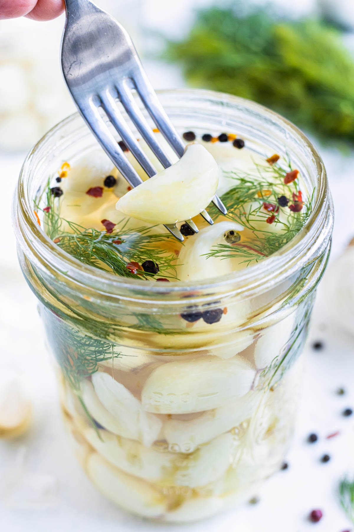 A fork picks up some quick pickled garlic from a mason jar with pickling brine, dill, and peppercorns.
