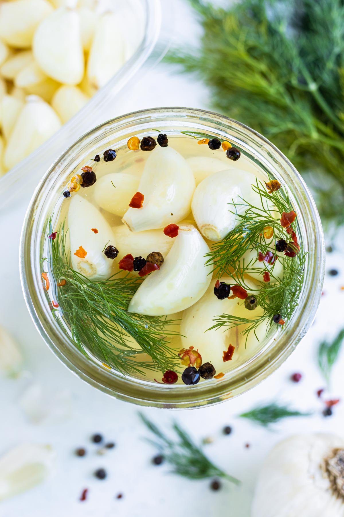 Quick pickled garlic cloves are in a mason jar with dill and peppercorns.