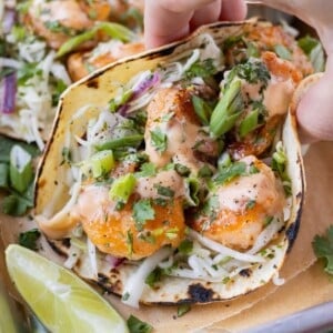 A Bang Bang Shrimp Taco with slaw is being picked up from a serving tray.