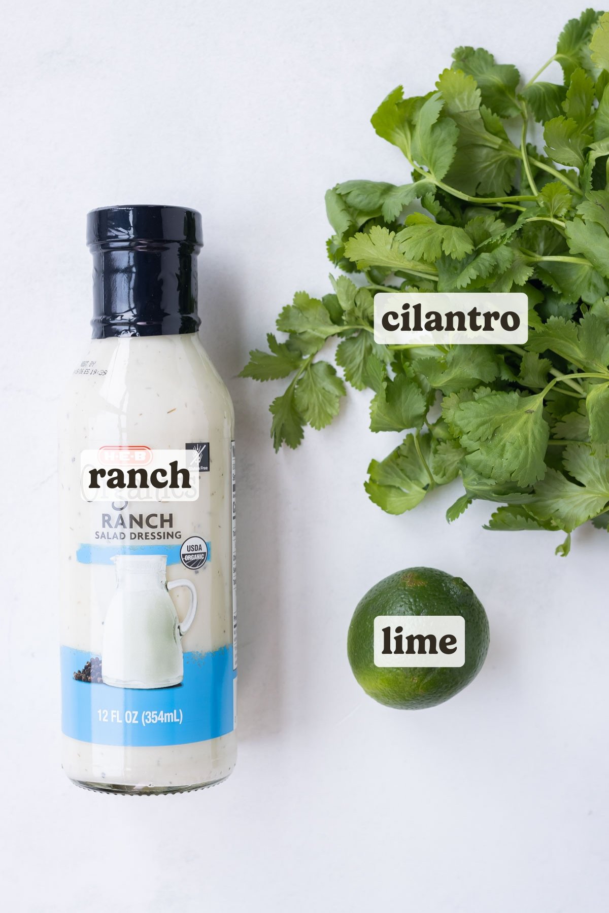 Cilantro, lime, and ranch dressing are the ingredients for this cilantro ranch dressing.