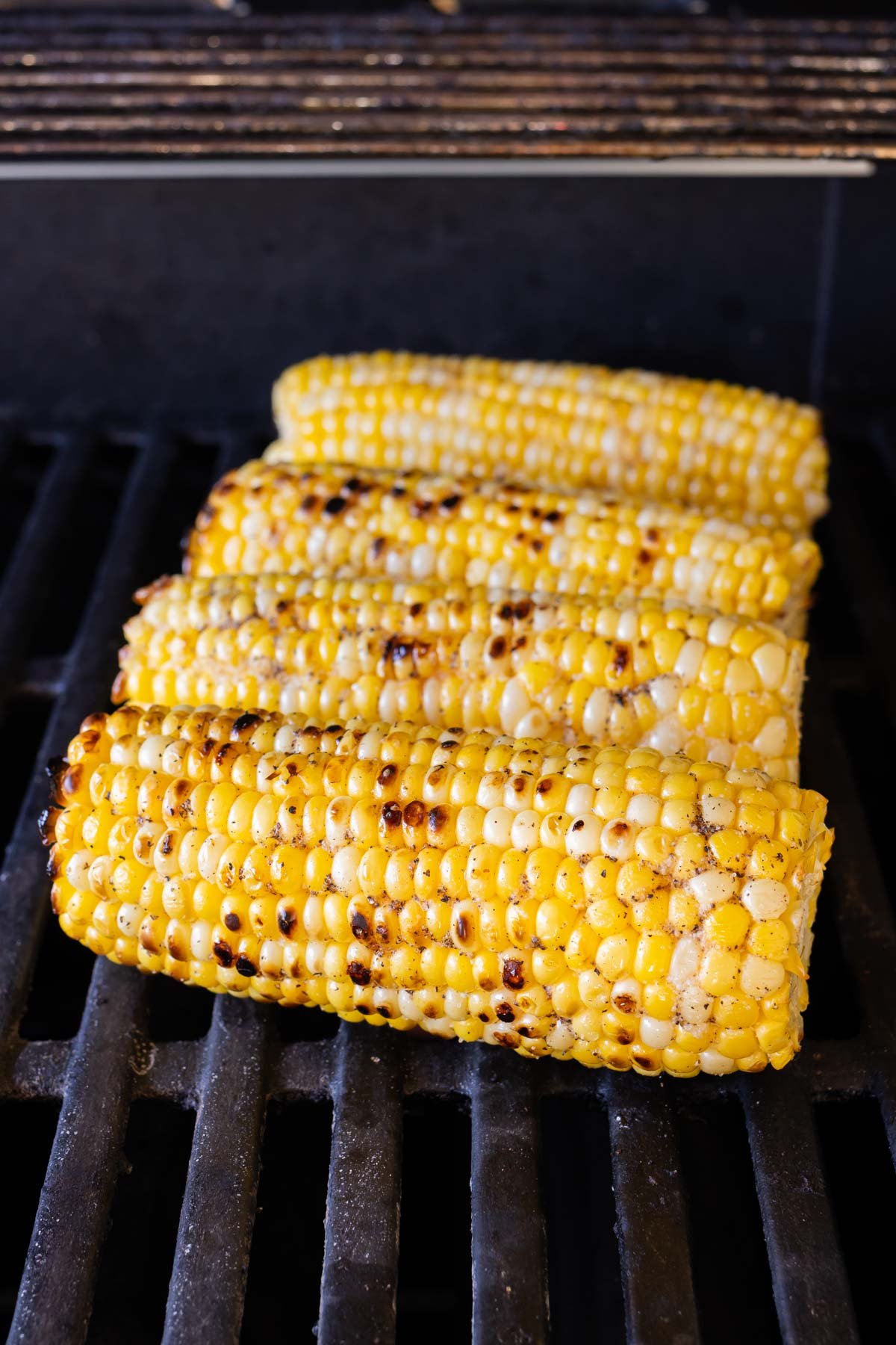 Corn on the cob is cooked on the grill.