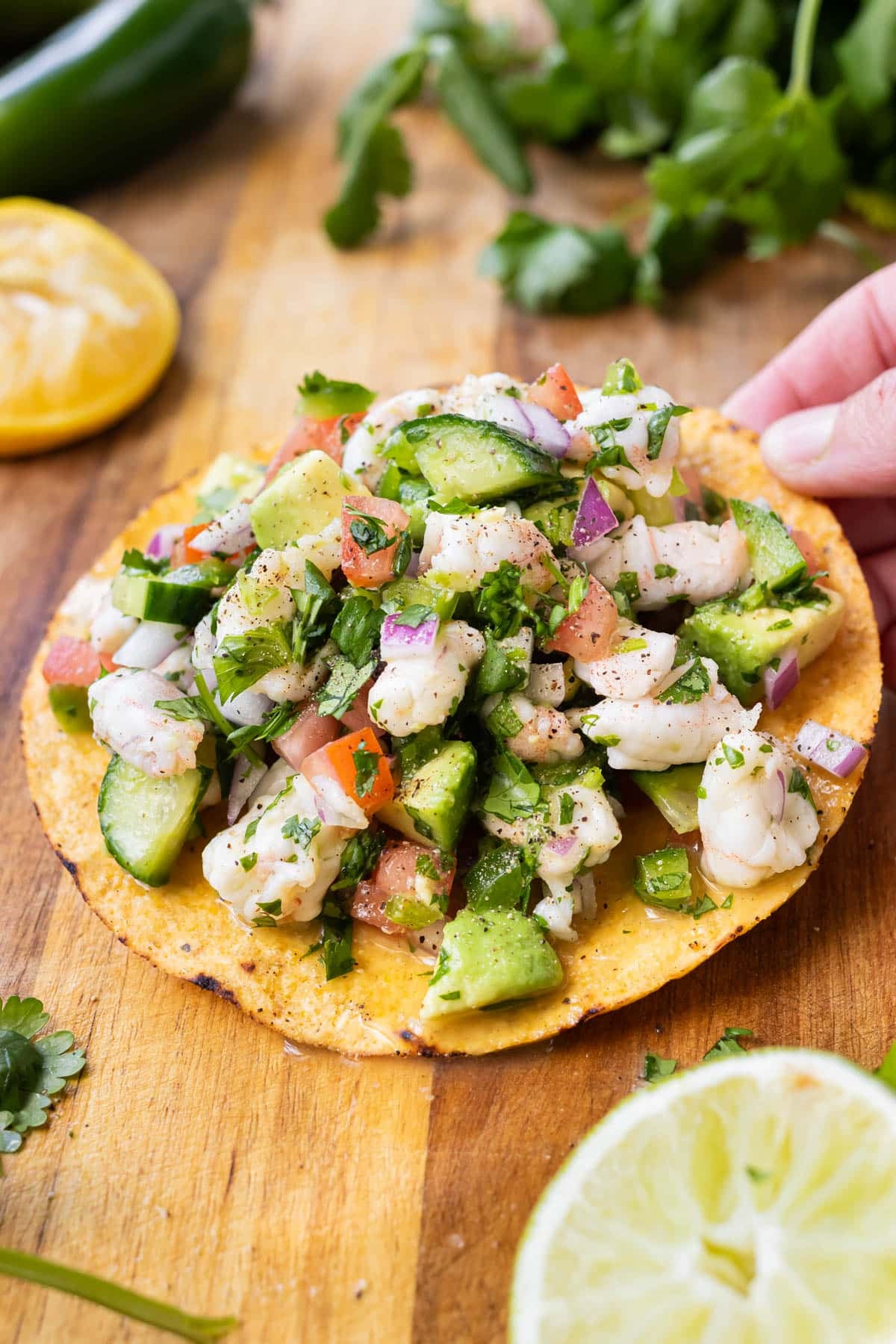 A hand is holding a tostada shell with shrimp ceviche on it.