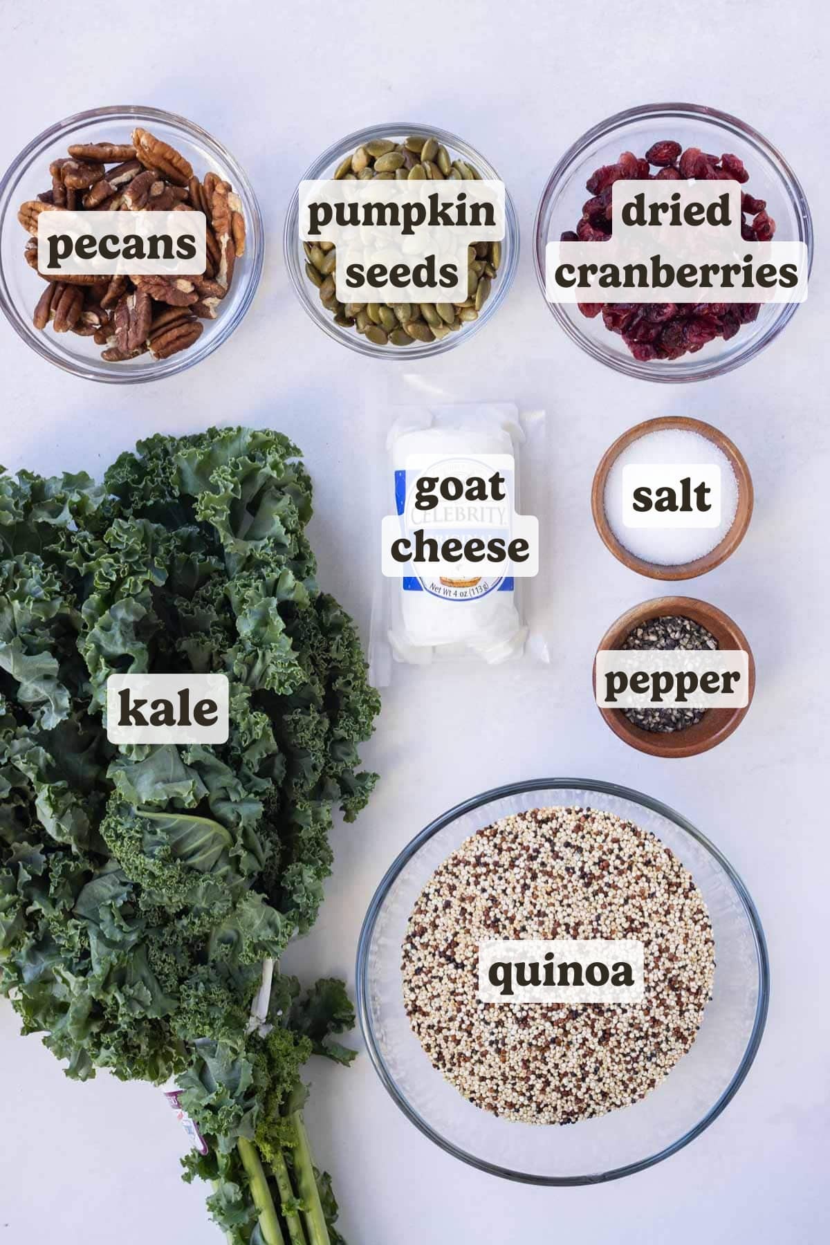 Kale, quinoa, goat cheese, dried nuts, and dried berries are some of the main ingredients for this warm fall quinoa salad recipe.