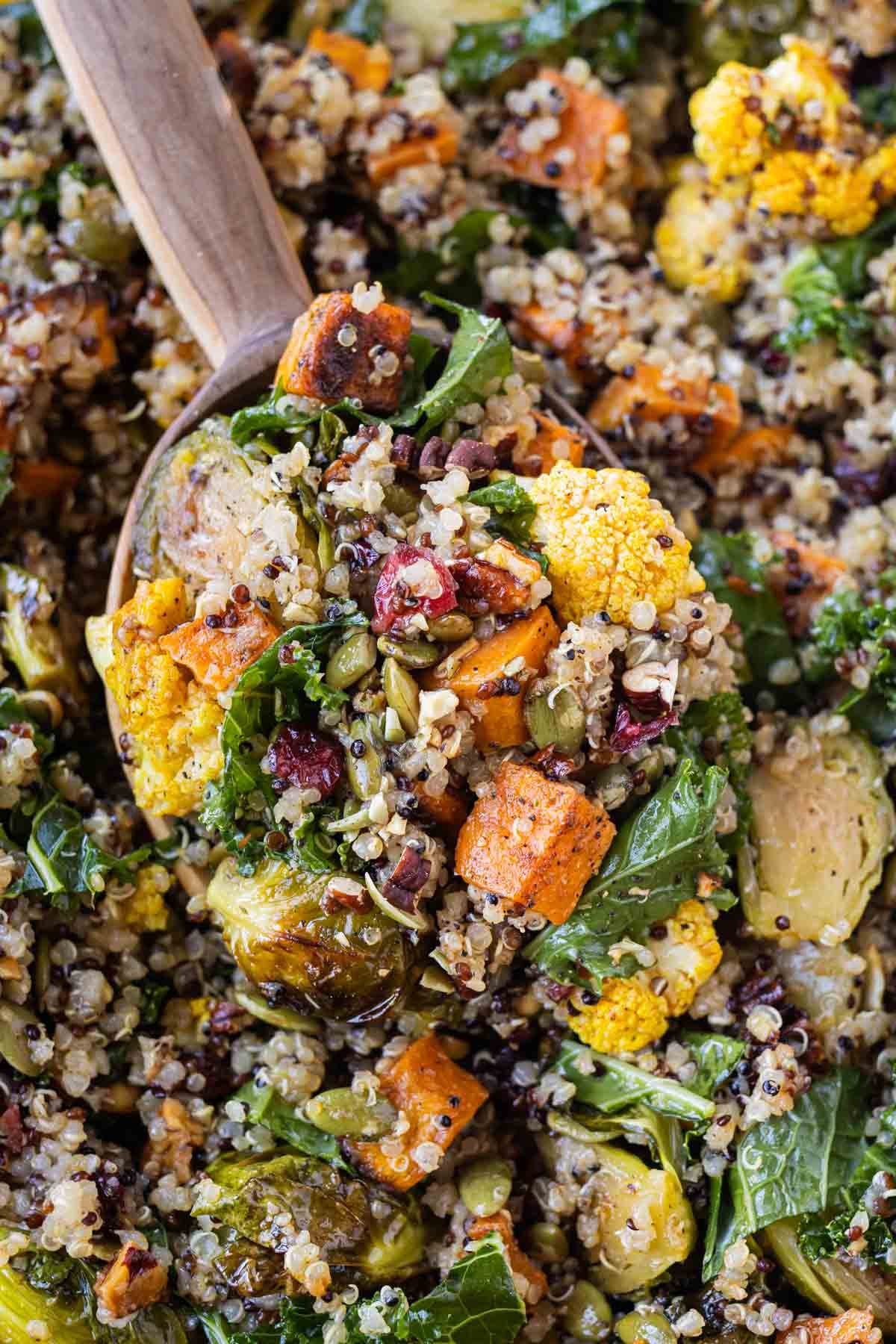 A wooden spoon scoops up a serving of a Fall Quinoa Salad with warm roasted vegetables, cranberries, kale, and an apple cider vinaigrette.