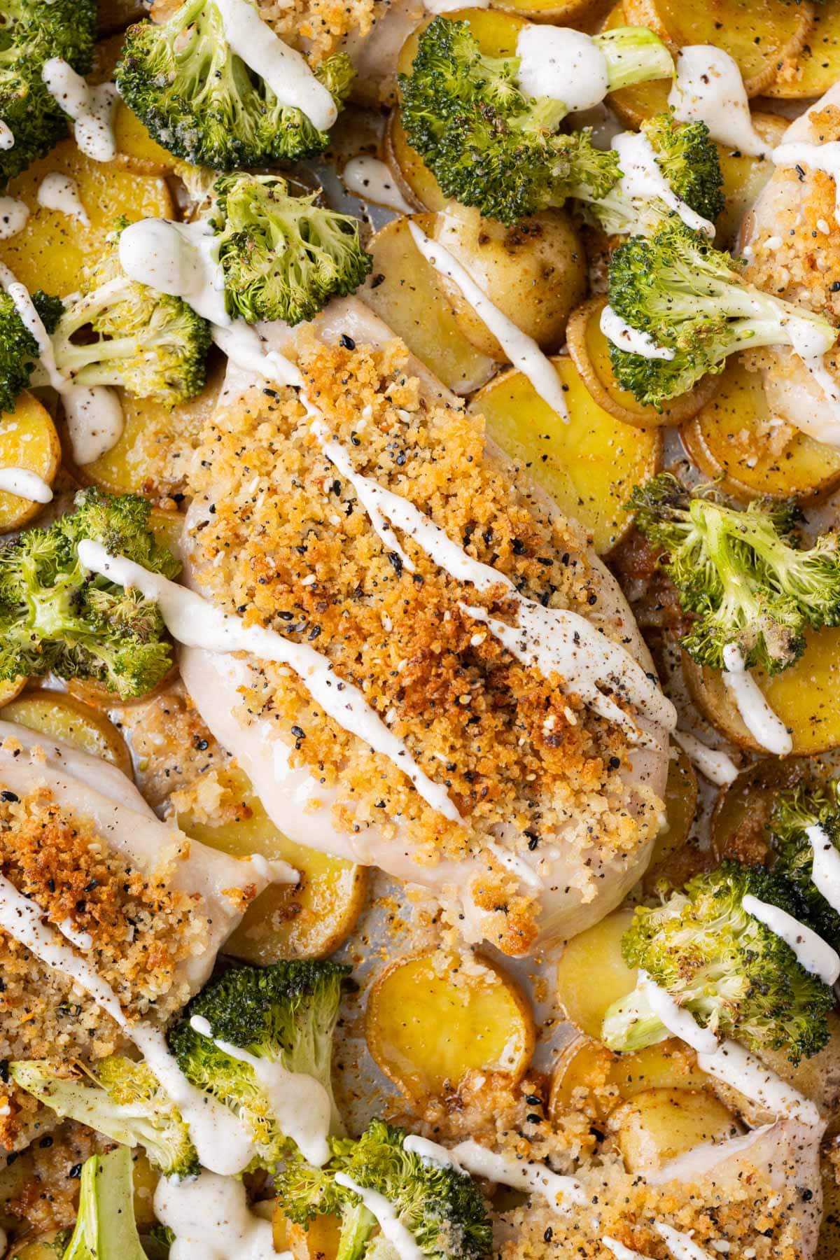 A chicken thigh is topped with everything bagel seasoning and Panko breadcrumbs with potatoes and broccoli.